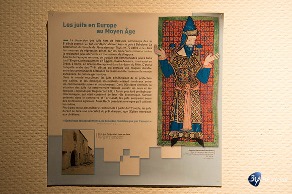 20161106-troyes-_6D47098_5101-Troyes Novembre 2016-lightroom-