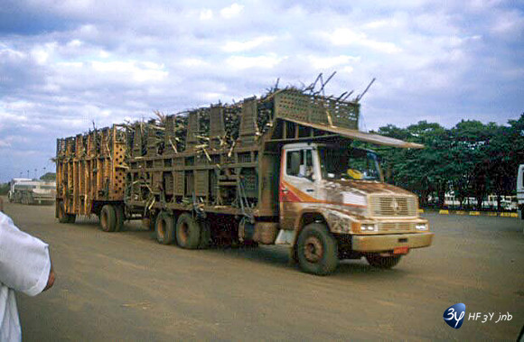 20001231-argentine-bezcannesuc