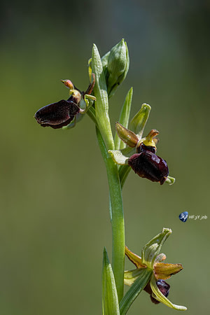 20240509-_Z9D2842--_1_1