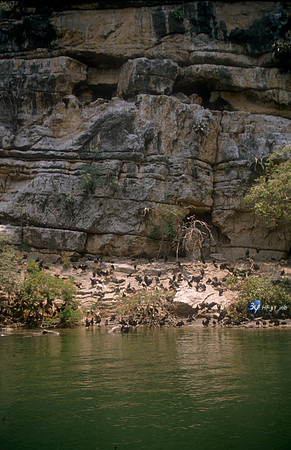 19940427-mexique--mexic61B