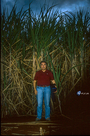 20031115-argentine-ag12