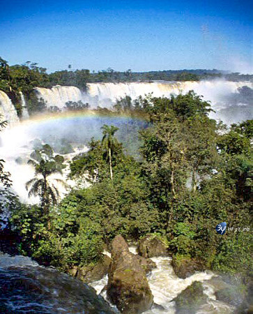 20001231-argentine-argchute8