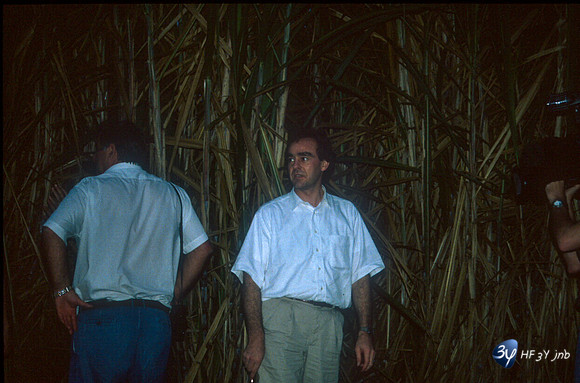 20031115-argentine-ag20