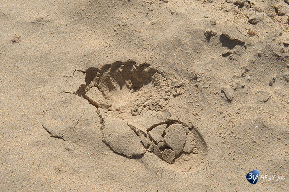20161020-sénégal-dakar-saly-afrique-_14I2661