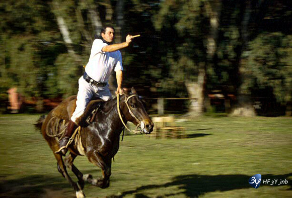 20001231-argentine-argcheval3