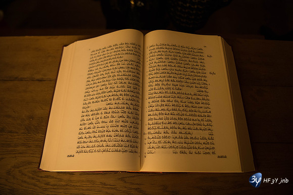 20161106-troyes-_6D47042_5059-Troyes Novembre 2016-lightroom-