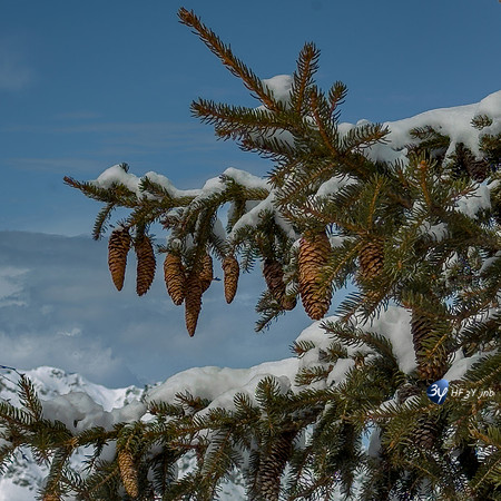 20250204-Alpe-Huez-IMG_2019-2-Modifier-57