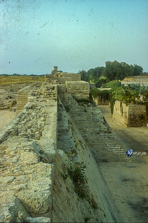 20040117-198605--jordanie-israel-jordan10