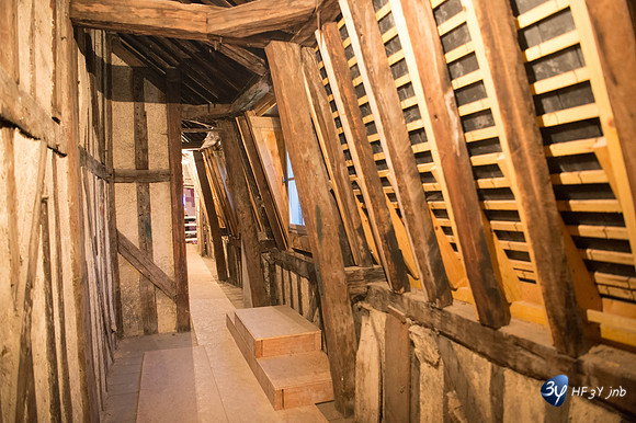 20161106-troyes-_6D47083_5087-Troyes Novembre 2016-lightroom-