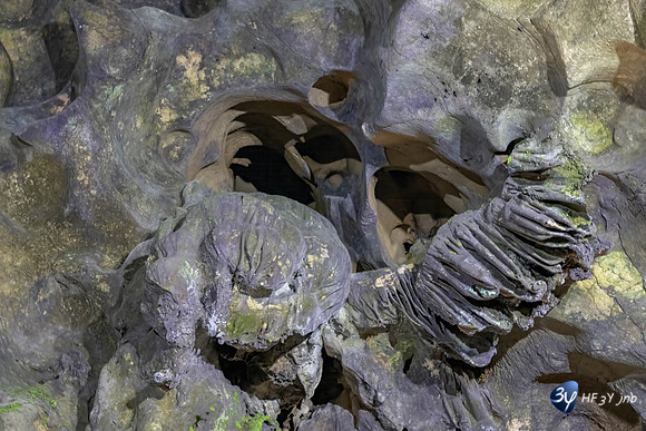 20240223-cova calavares-benidoleig-espagne-z9b_1194-2-Modifier