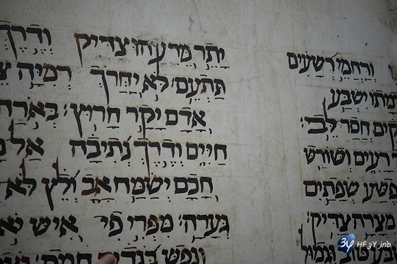20161106-troyes-_6D47057_5071-Troyes Novembre 2016-lightroom-
