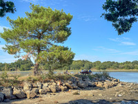 20250812-Bretagne-IMG_3932-3