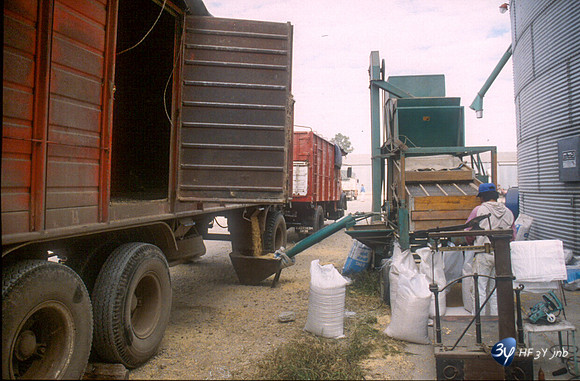 20031115-argentine-ag57