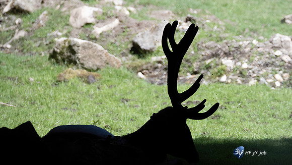 20220601-Aran-Park-espagne-Z07_3141_DxO