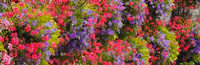 20250812-Bretagne-20250812_152620-3-Modifier