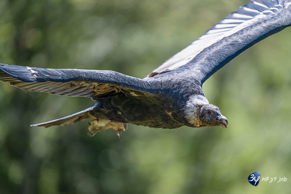 20240731-Dordogne-_Z9B8599-2-Modifier
