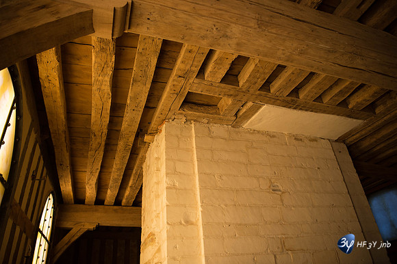20161106-troyes-_6D47045_5062-Troyes Novembre 2016-lightroom-